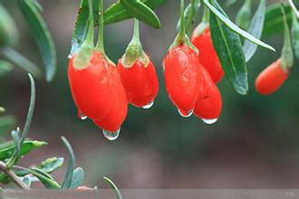 經(jīng)顱多普勒