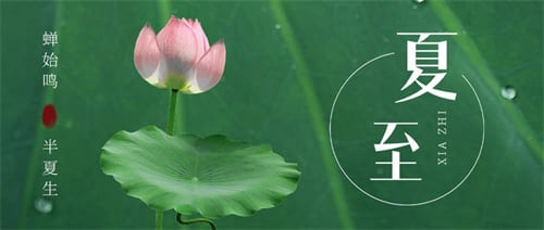 夏至人體成分分析儀